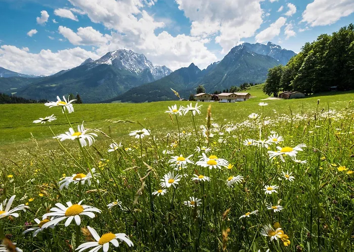 Alpenpension Ettlerlehen 아파트 람사우